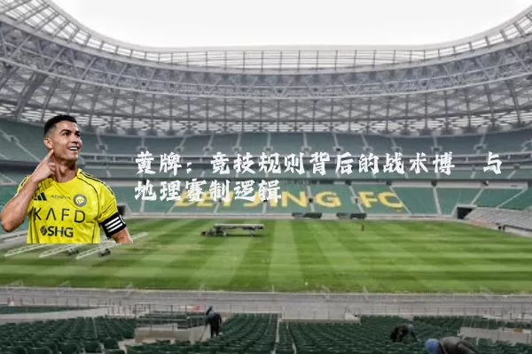 黄牌：竞技规则背后的战术博弈与地理赛制逻辑